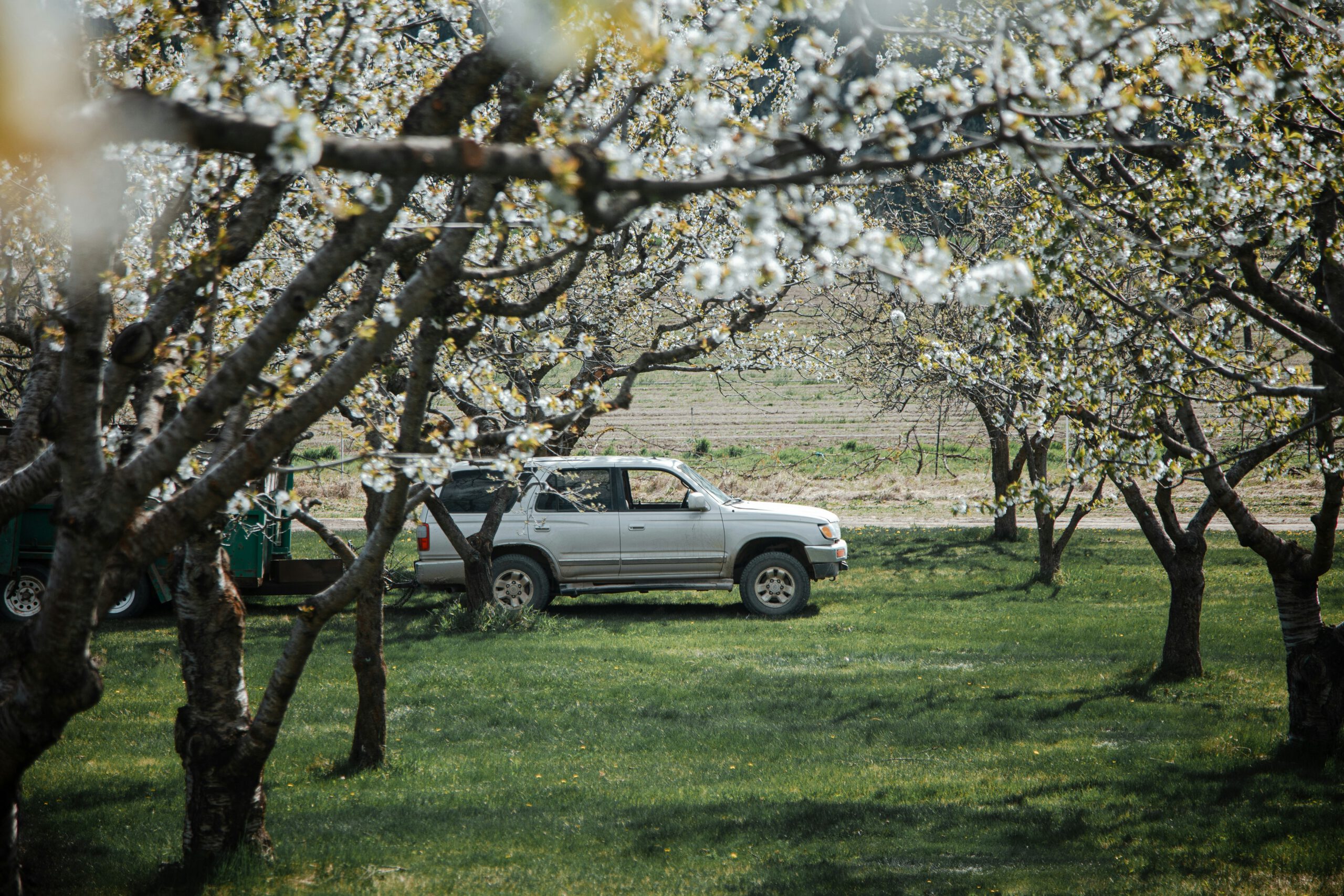 Jarní sezóna začíná